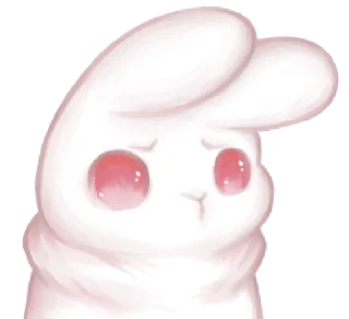 🐰