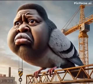 🤩