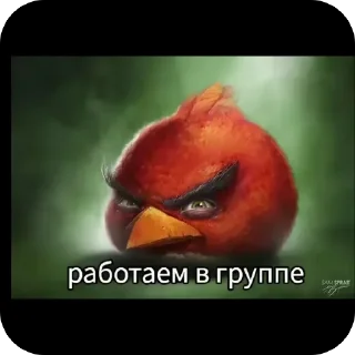 🫥