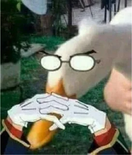 🦆