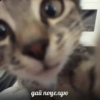 💗