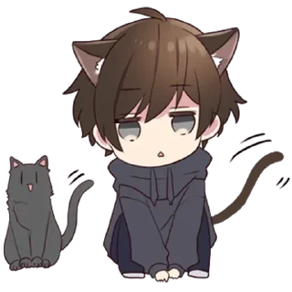 😺