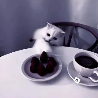 🌨