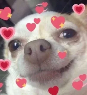 😍