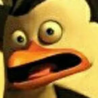 😱