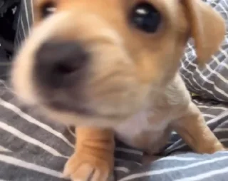 😚