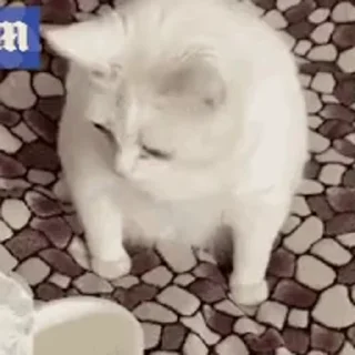 🤮