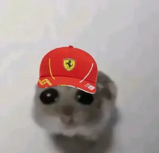 🤩