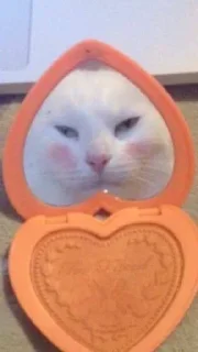 💄