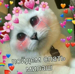 🥺