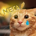 😭