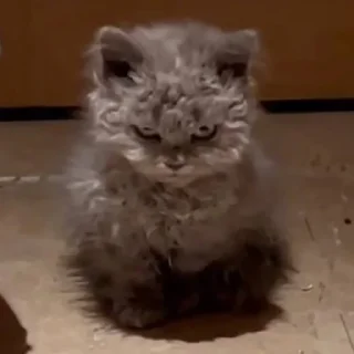 😠