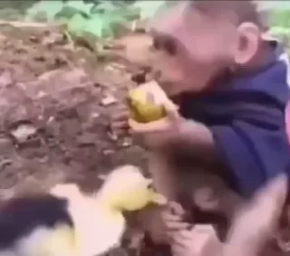 😂