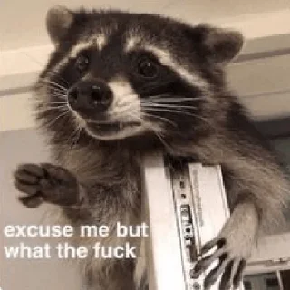 😵‍💫