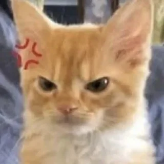 😡