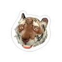 🐯