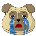 😭