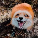 😁