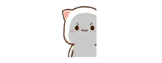 😼
