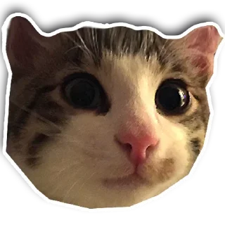 😙