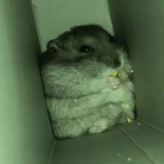 🤫