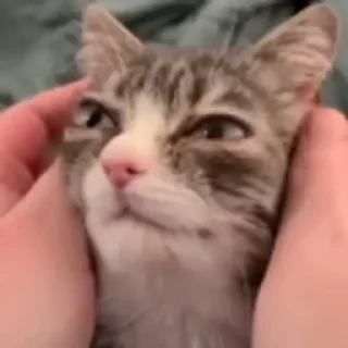 👋