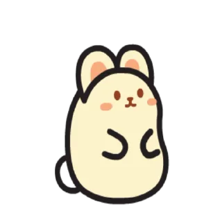 ✨