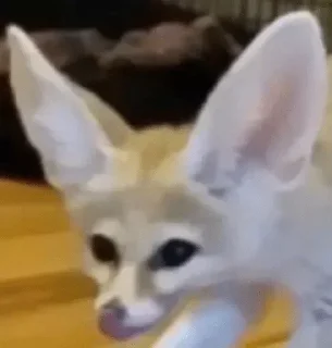😝