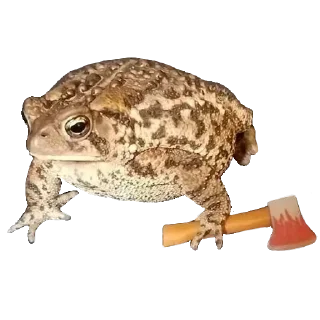 🐸