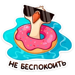 😎