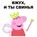 🐷