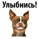 😊