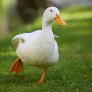 😐