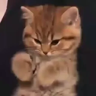 🥰