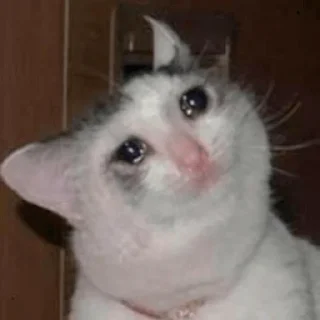 😥