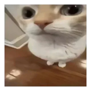 😶