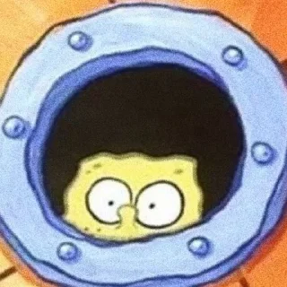 🧽
