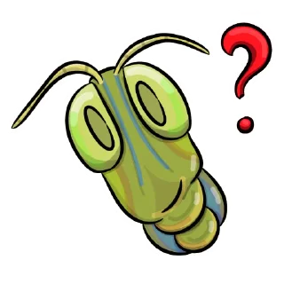 ❓