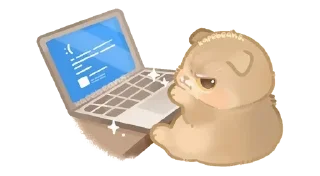 💻