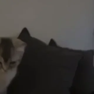 😡