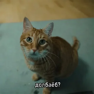 🤨