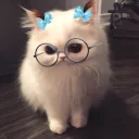 😊