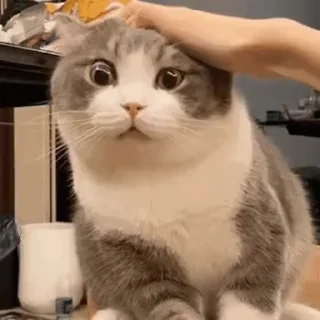 🧐