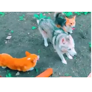 👍