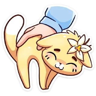 ☺️