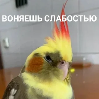 🤢