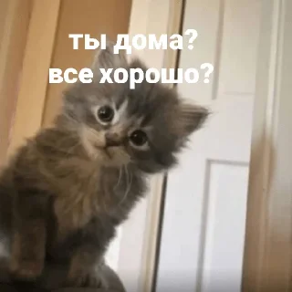 😅
