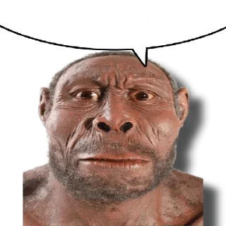 🐵