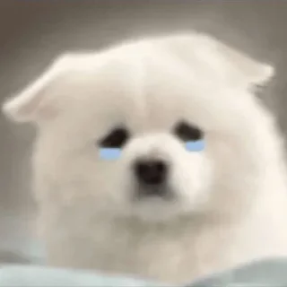 😥