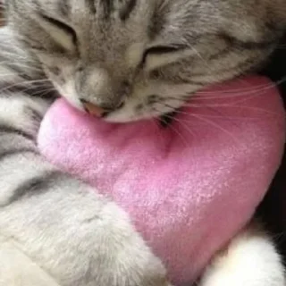 💓